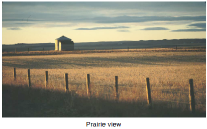 Prairie view