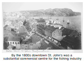 Downtown St. John's